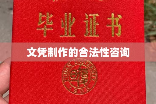 南郊文凭制作的合法性咨询