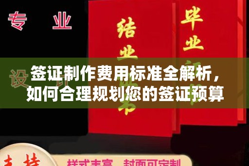 南郊签证制作费用标准全解析，如何合理规划您的签证预算？